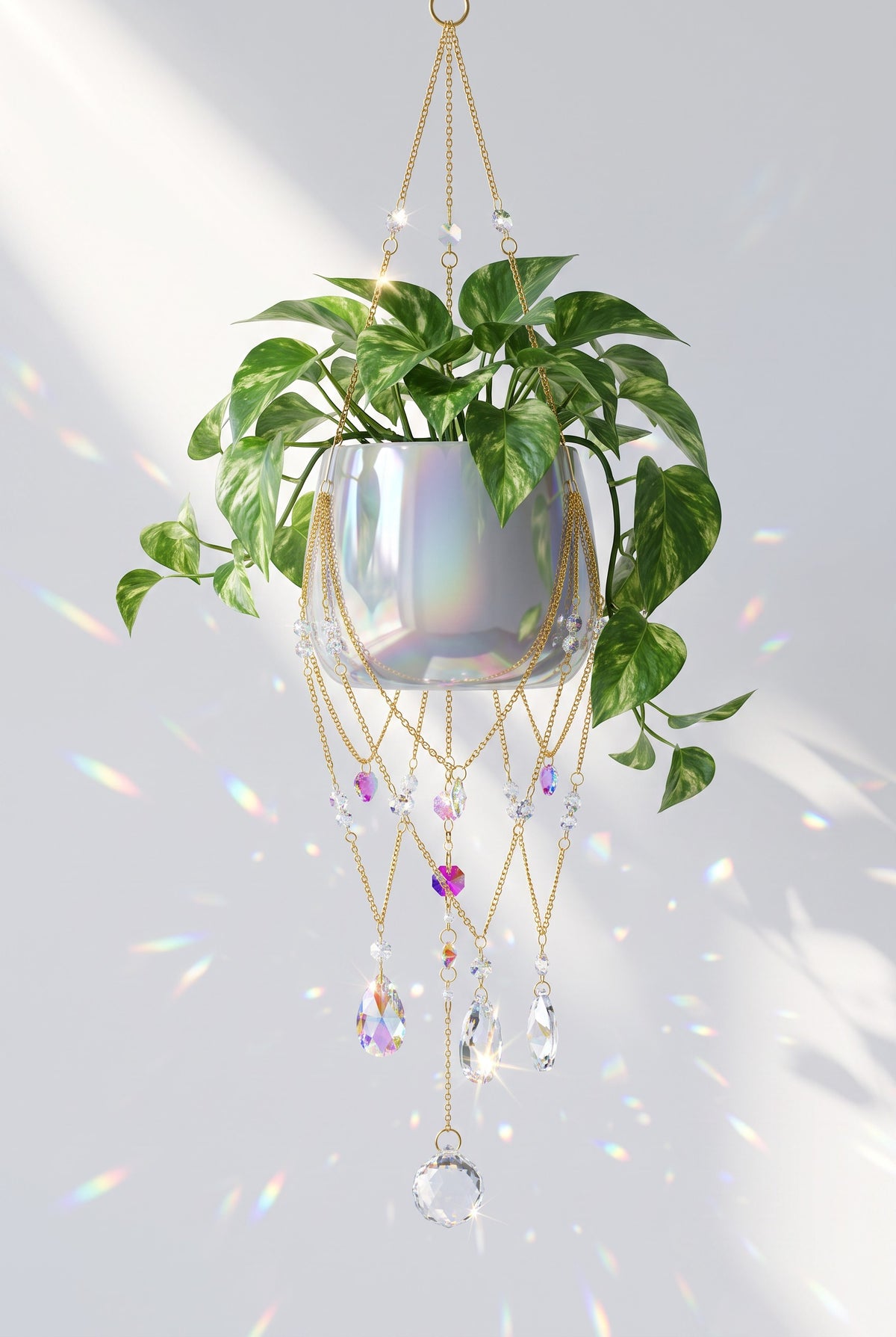 Garden Glow